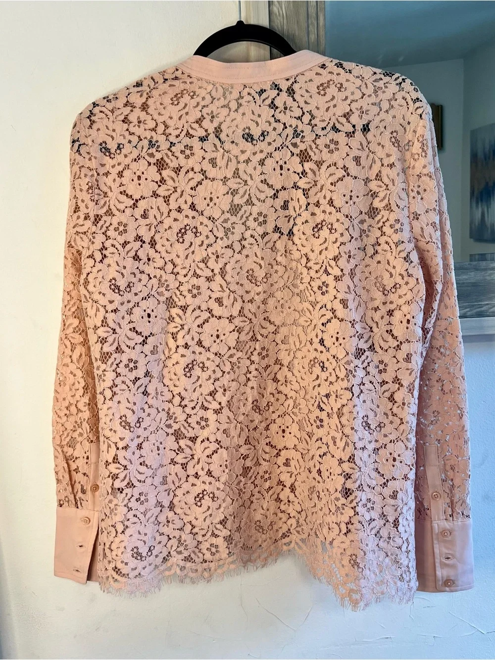 J. Crew Blush Lace Button-Up Cardigan with Shell